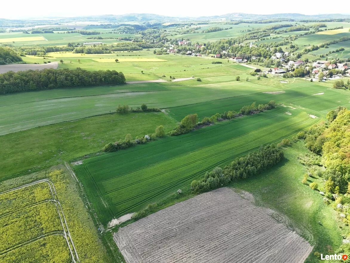Działka rolna Pomocne, Pomocne