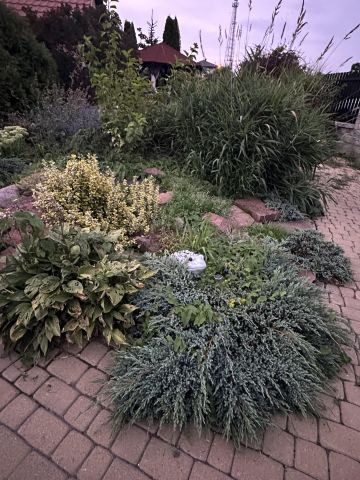 dom wolnostojący, 4 pokoje Huta Żabiowolska, Główna. Zdjęcie 36