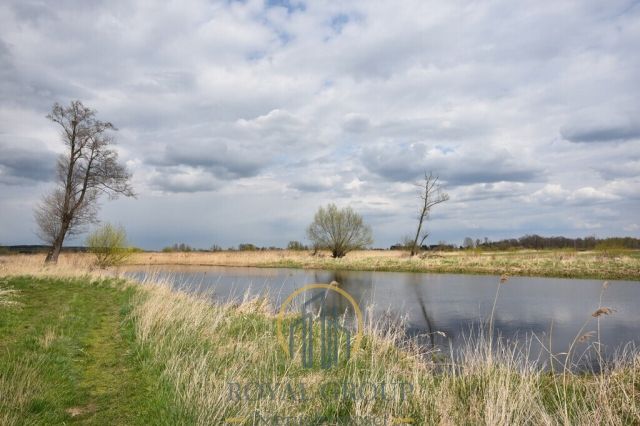 Działka rolna Giżyce. Zdjęcie 6