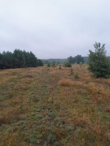 Działka rolna Rekownica. Zdjęcie 1