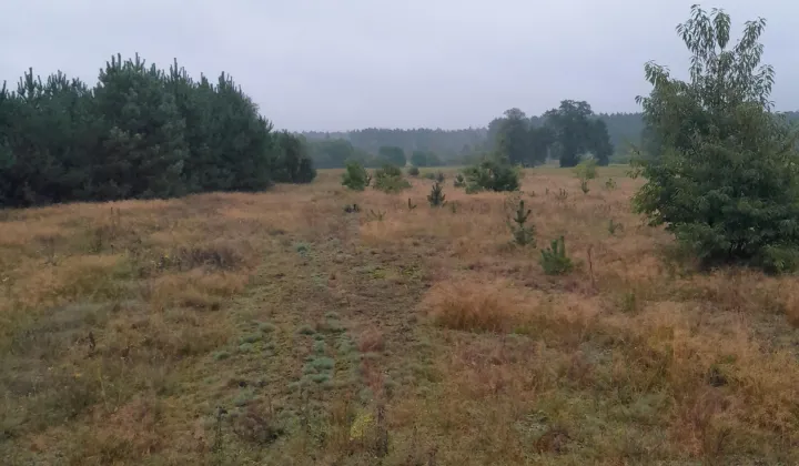 Działka rolna Rekownica