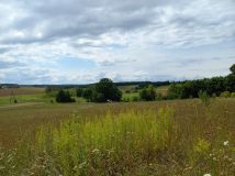 Działka rolno-budowlana Głotowo. Zdjęcie 3