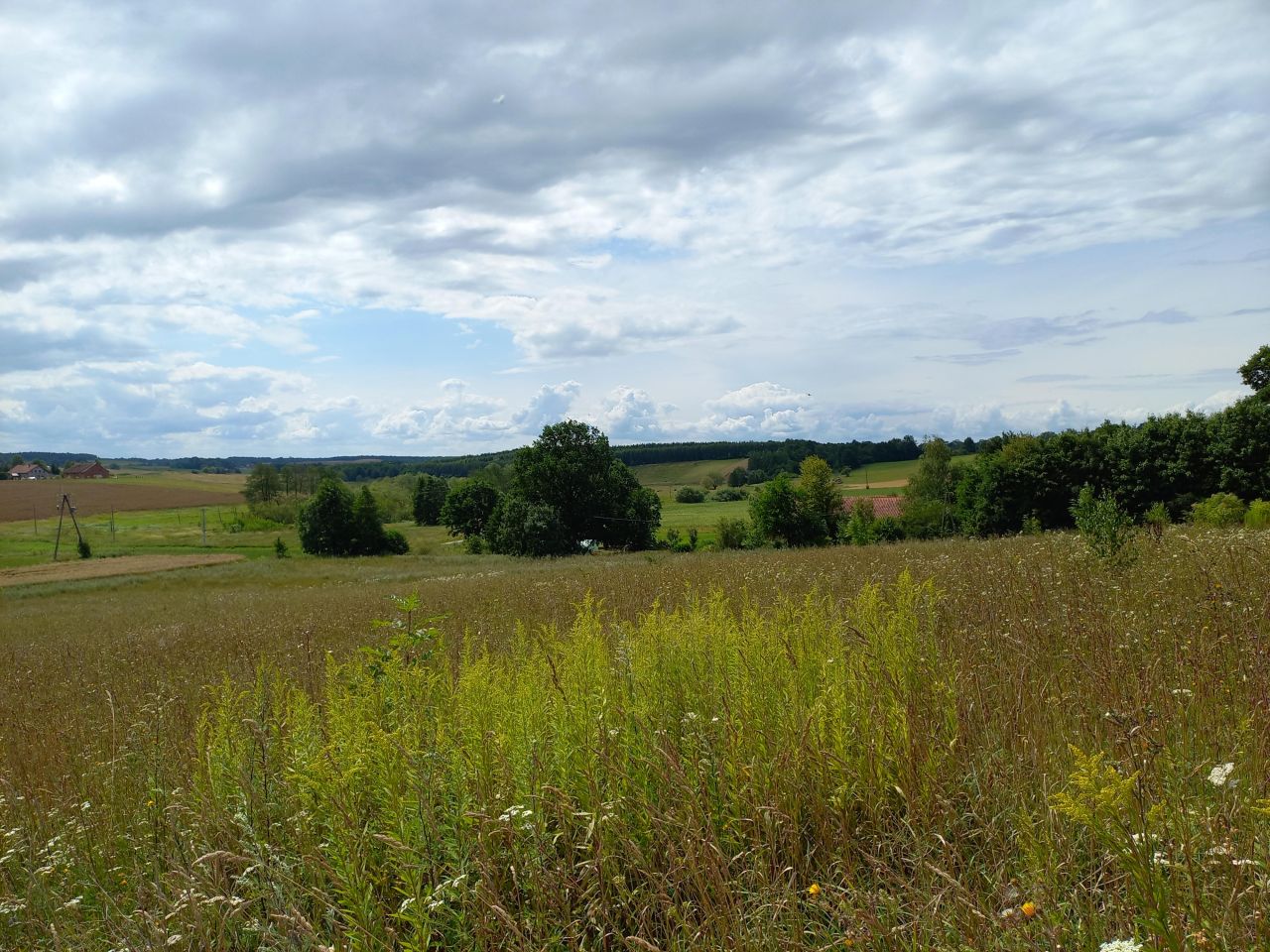 Działka rolno-budowlana Głotowo. Zdjęcie 4