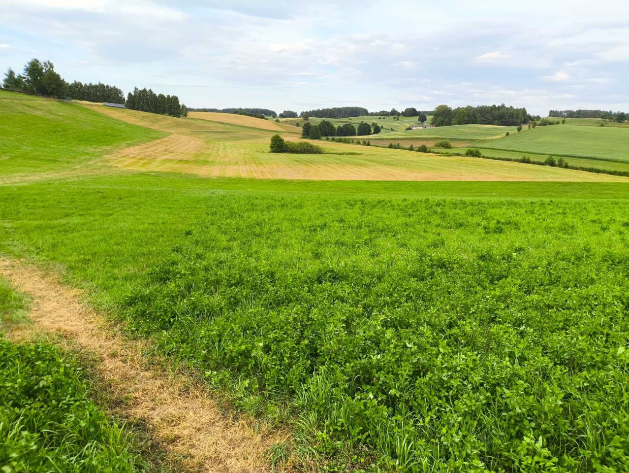 Działka budowlana Połęczyno. Zdjęcie 3