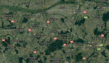 Działka rolno-budowlana Ozorków, ul. Maszkowska