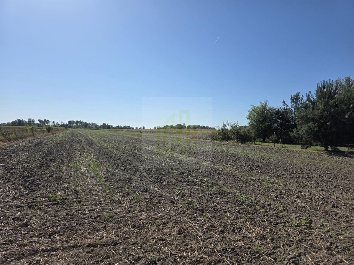 Działka budowlana Nowe Faszczyce. Zdjęcie 14