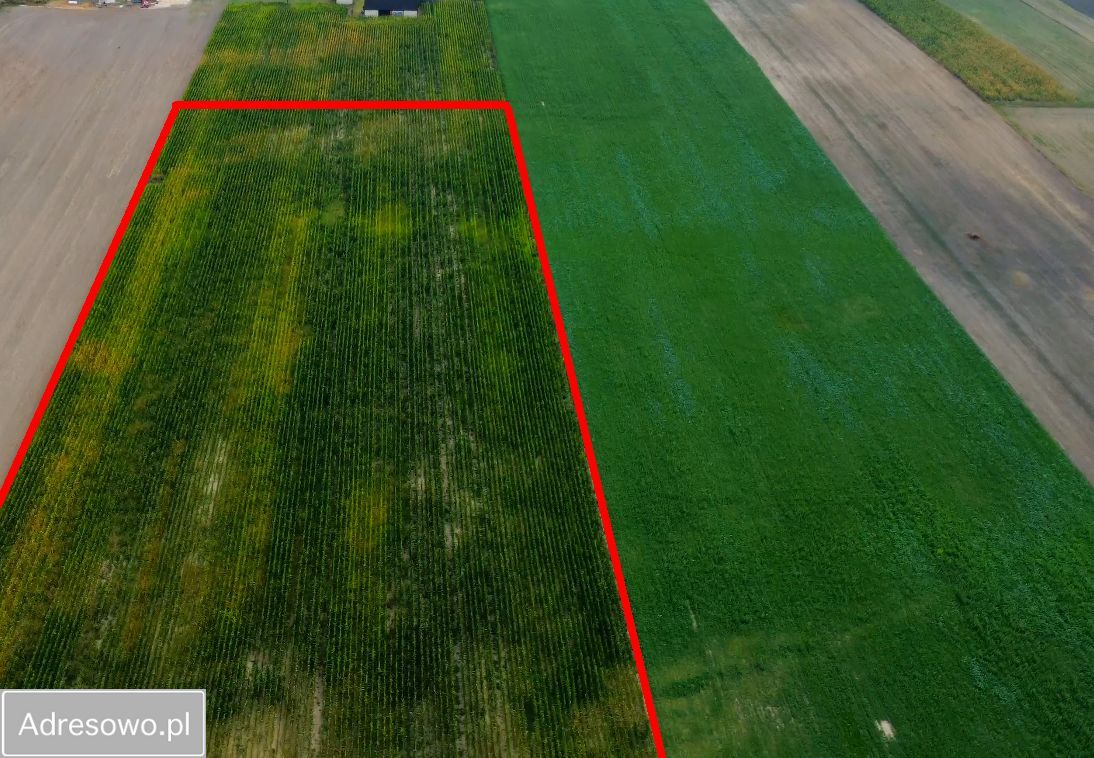 Działka rolna Karszew. Zdjęcie 1