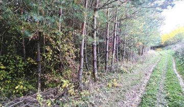 Działka leśna Wolica