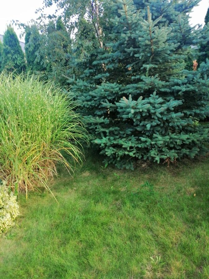 dom wolnostojący, 6 pokoi Rudka Kozłowiecka. Zdjęcie 9