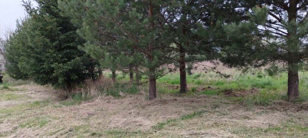 Działka budowlana Sulistrowice. Zdjęcie 5