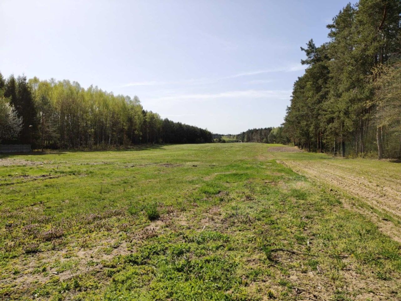 Działka budowlana Zalesna. Zdjęcie 4