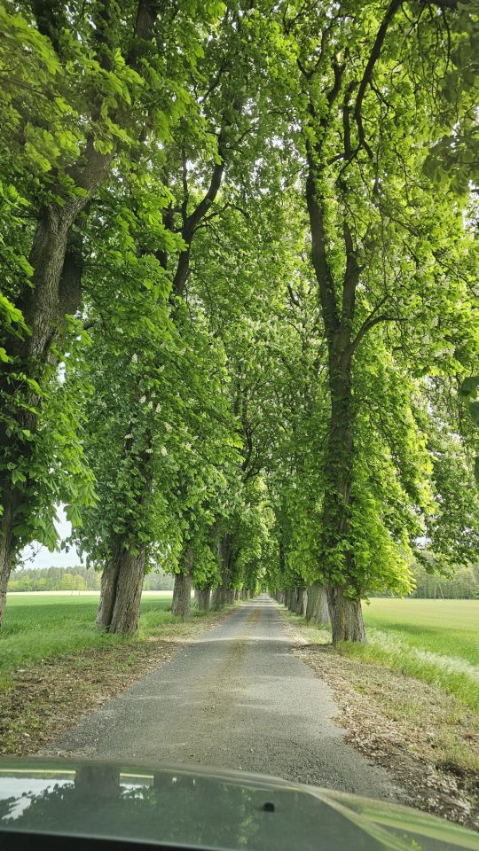 dom wolnostojący, 5 pokoi Łuskowo. Zdjęcie 23