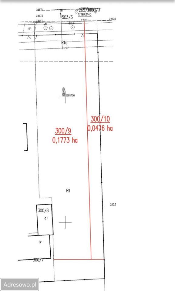 Działka budowlana Panieńszczyzna. Zdjęcie 2