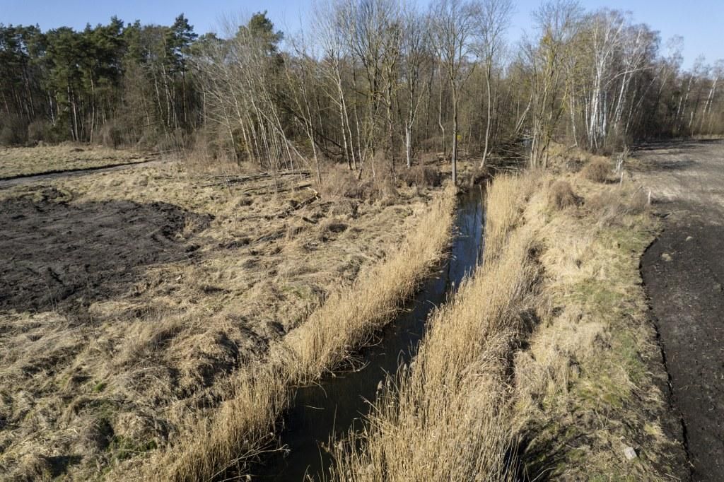 Działka inwestycyjna Dąbrowa. Zdjęcie 6