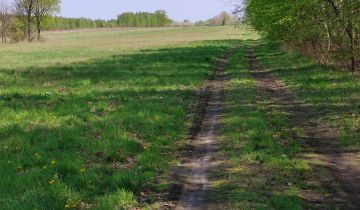 Działka inwestycyjna Turowice