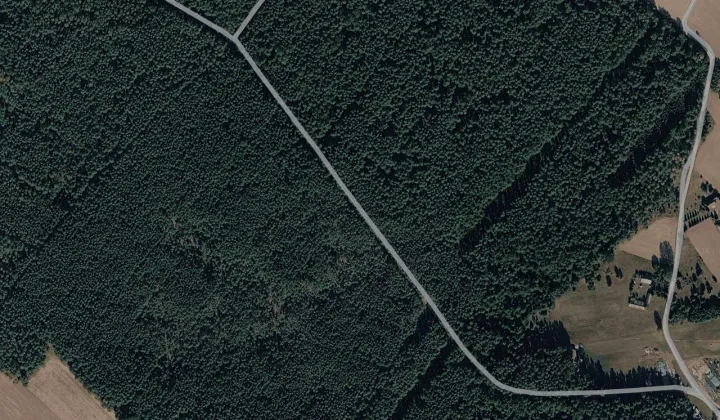 Działka leśna Boguszewo