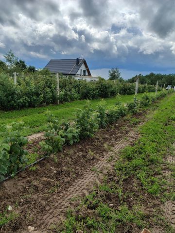 Działka budowlana Kocerany, ul. Graniczna. Zdjęcie 1