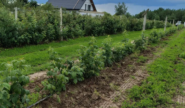 Działka budowlana Kocerany, ul. Graniczna