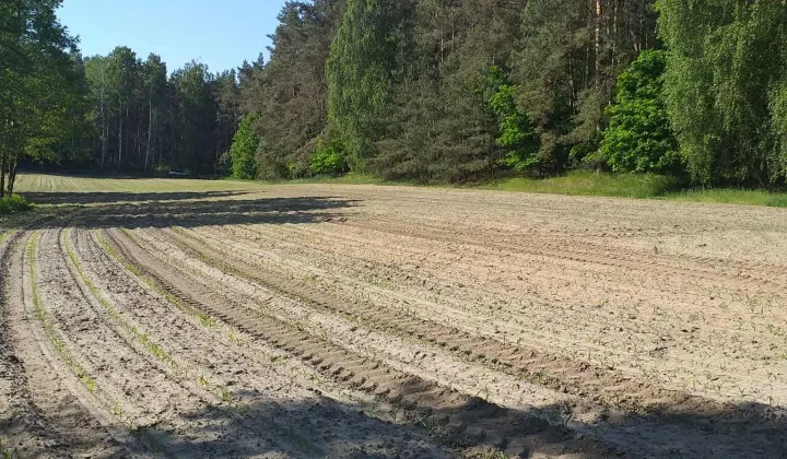 Działka rolna Strzygi