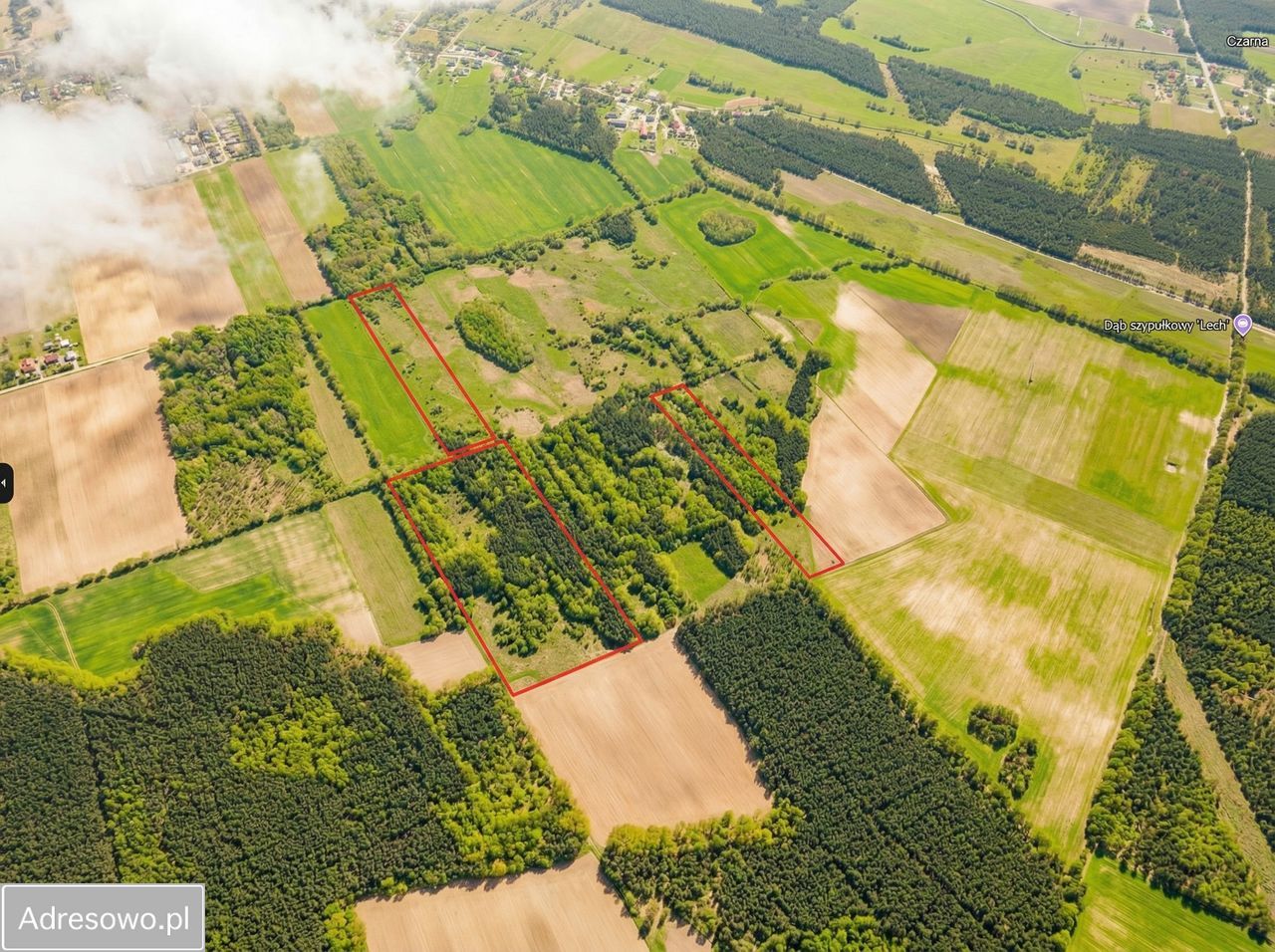 Działka rolna Studzieniec. Zdjęcie 2