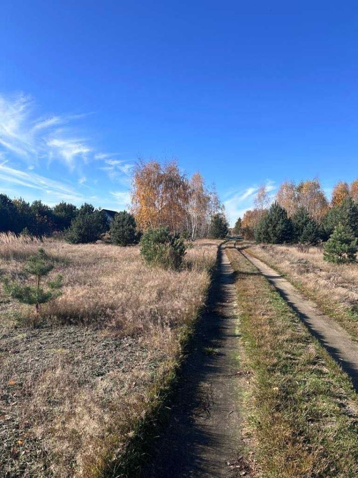 Działka budowlana Mikołajew. Zdjęcie 3