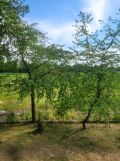 Mieszkanie 2-pokojowe Warszawa Targówek, ul. Zielone Zacisze. Zdjęcie 4
