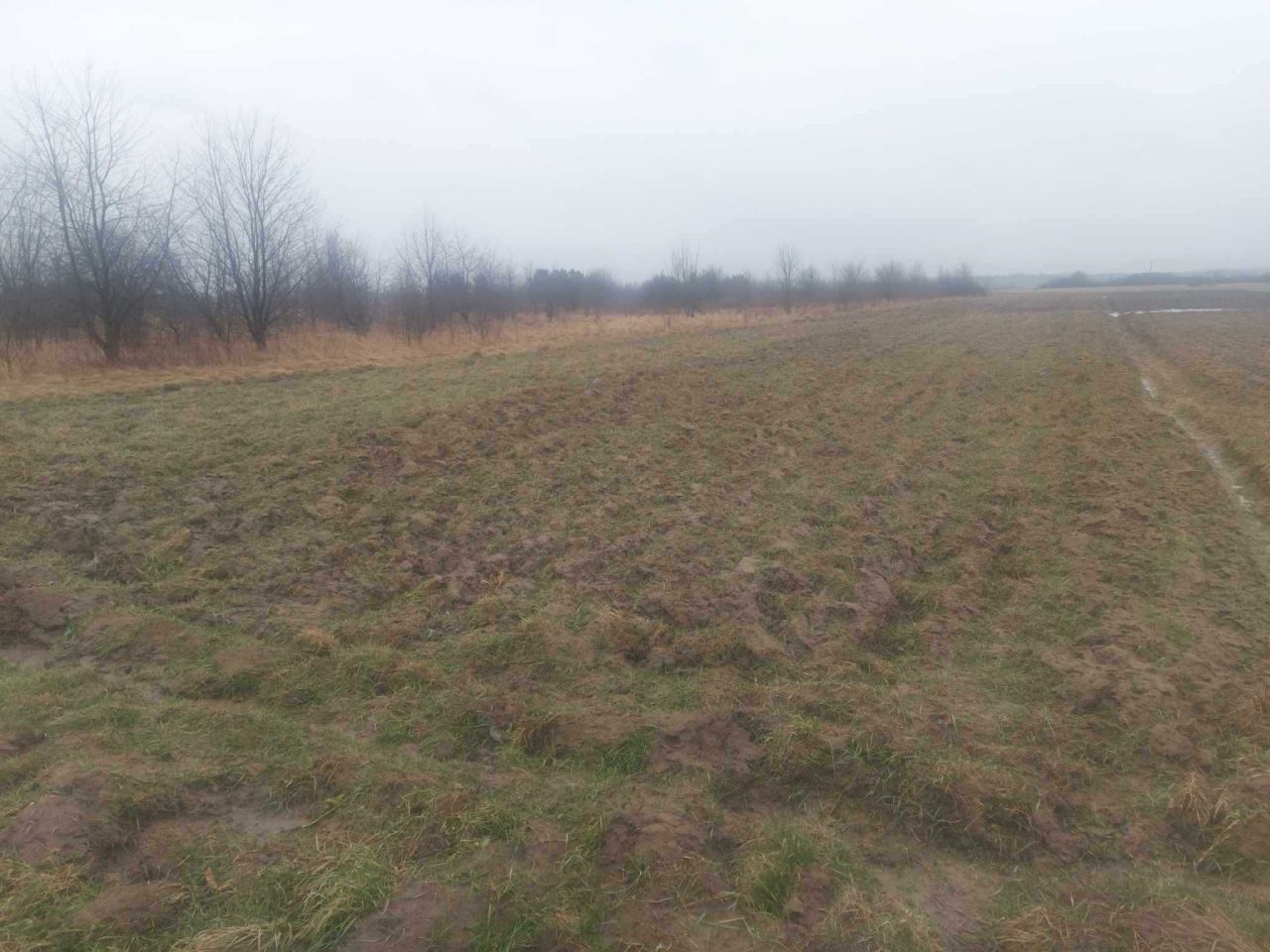 Działka rolna Pysznica. Zdjęcie 4