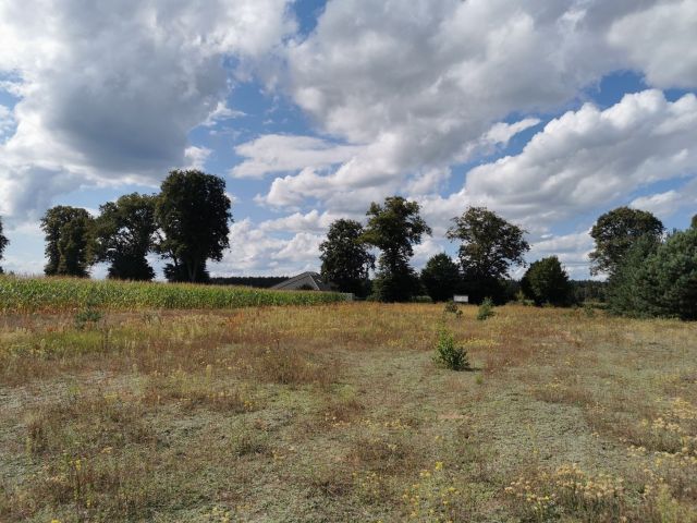 Działka budowlana Dolnik. Zdjęcie 13
