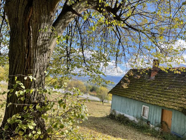Działka siedliskowa Trzetrzewina Sołtystwo. Zdjęcie 1