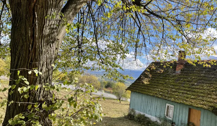 Działka siedliskowa Trzetrzewina Sołtystwo