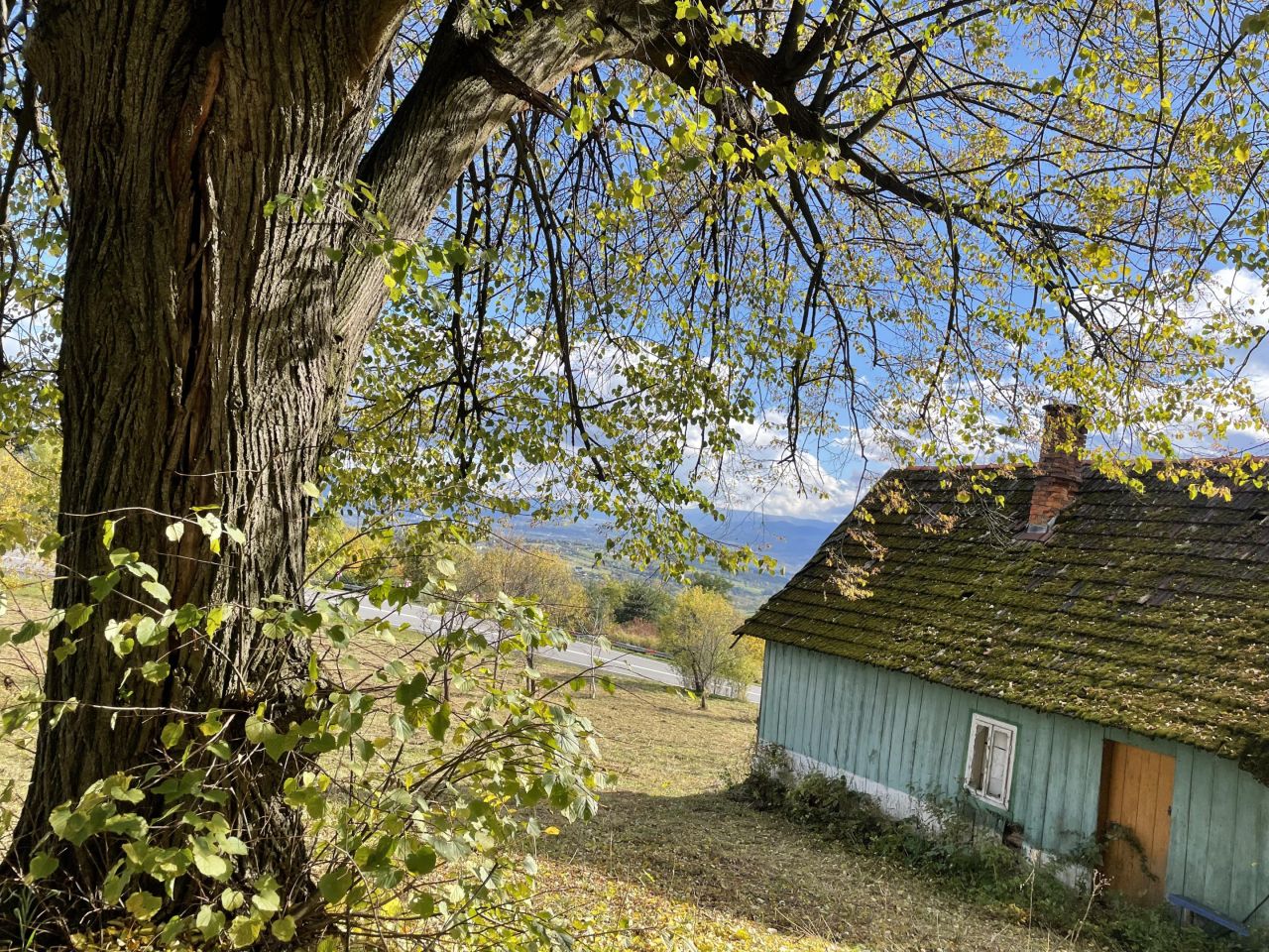 Działka siedliskowa Trzetrzewina Sołtystwo