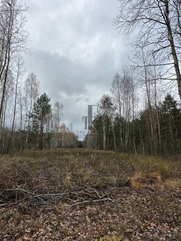 Działka rolna Mińsk Mazowiecki. Zdjęcie 1