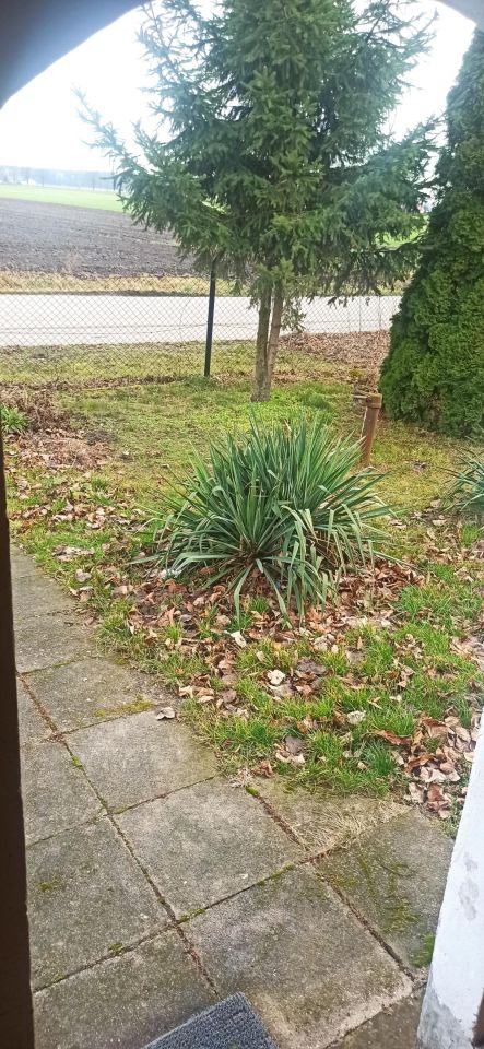 Mieszkanie 2-pokojowe Nowe Witowo. Zdjęcie 14