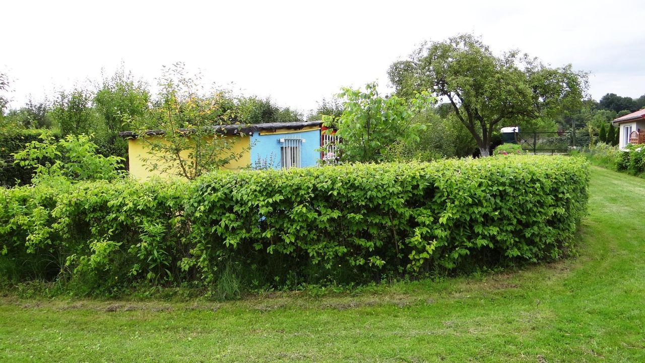 Działka rod Piła Centrum, ul. Różyckiego. Zdjęcie 5