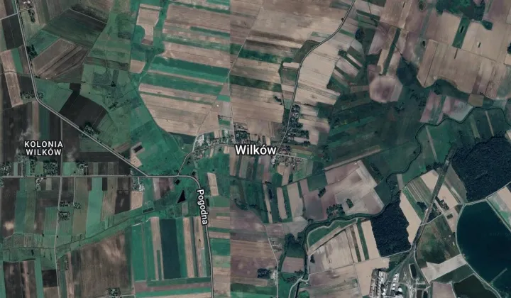 Działka rolna Wilków