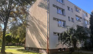 Mieszkanie 1-pokojowe Warszawa Praga-Południe, ul. Brazylijska