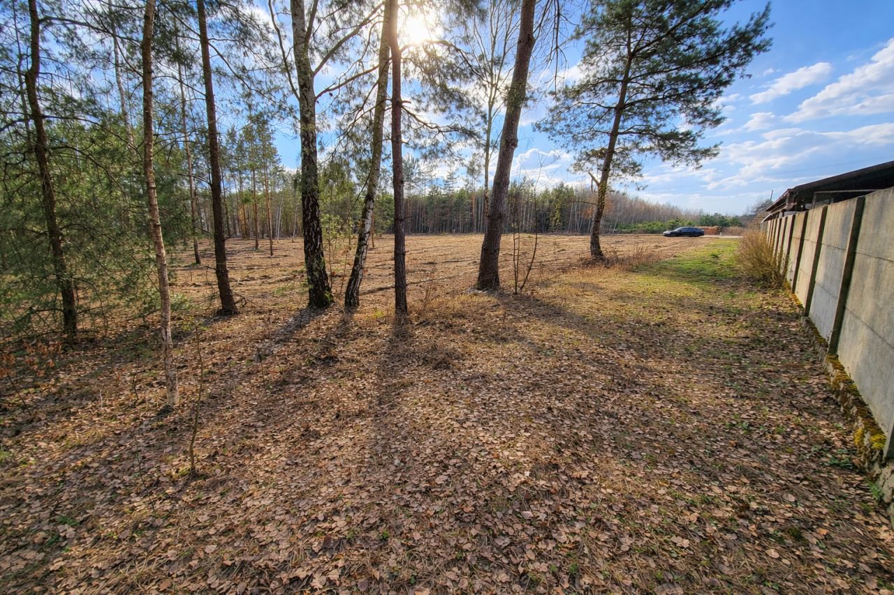 Działka rolno-budowlana Budy, Brodowa Góra. Zdjęcie 6