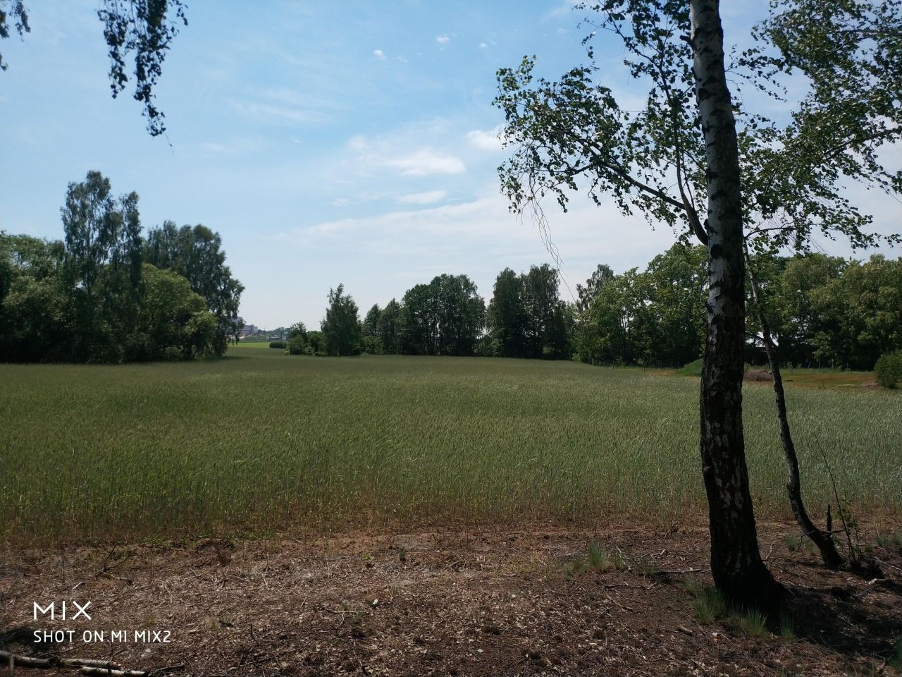 Działka siedliskowa Smolice, Smolice. Zdjęcie 8
