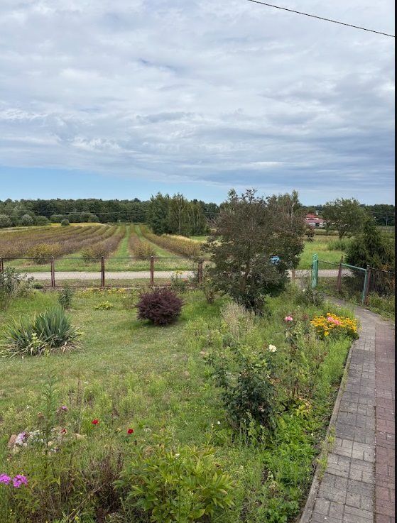 dom wolnostojący, 3 pokoje Łopatki. Zdjęcie 8
