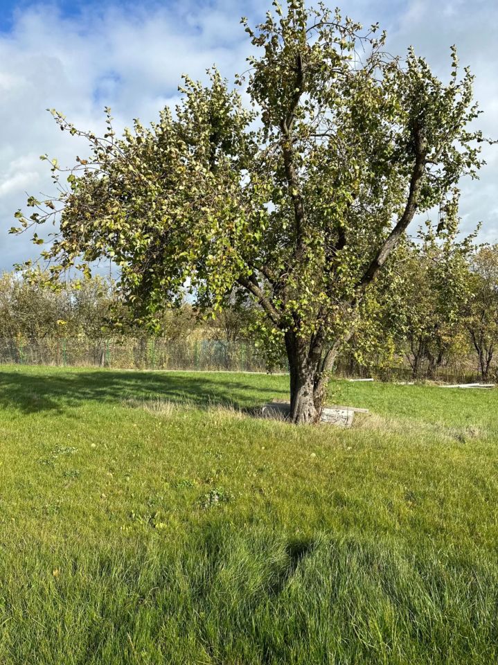 Działka siedliskowa Rodnowo. Zdjęcie 6