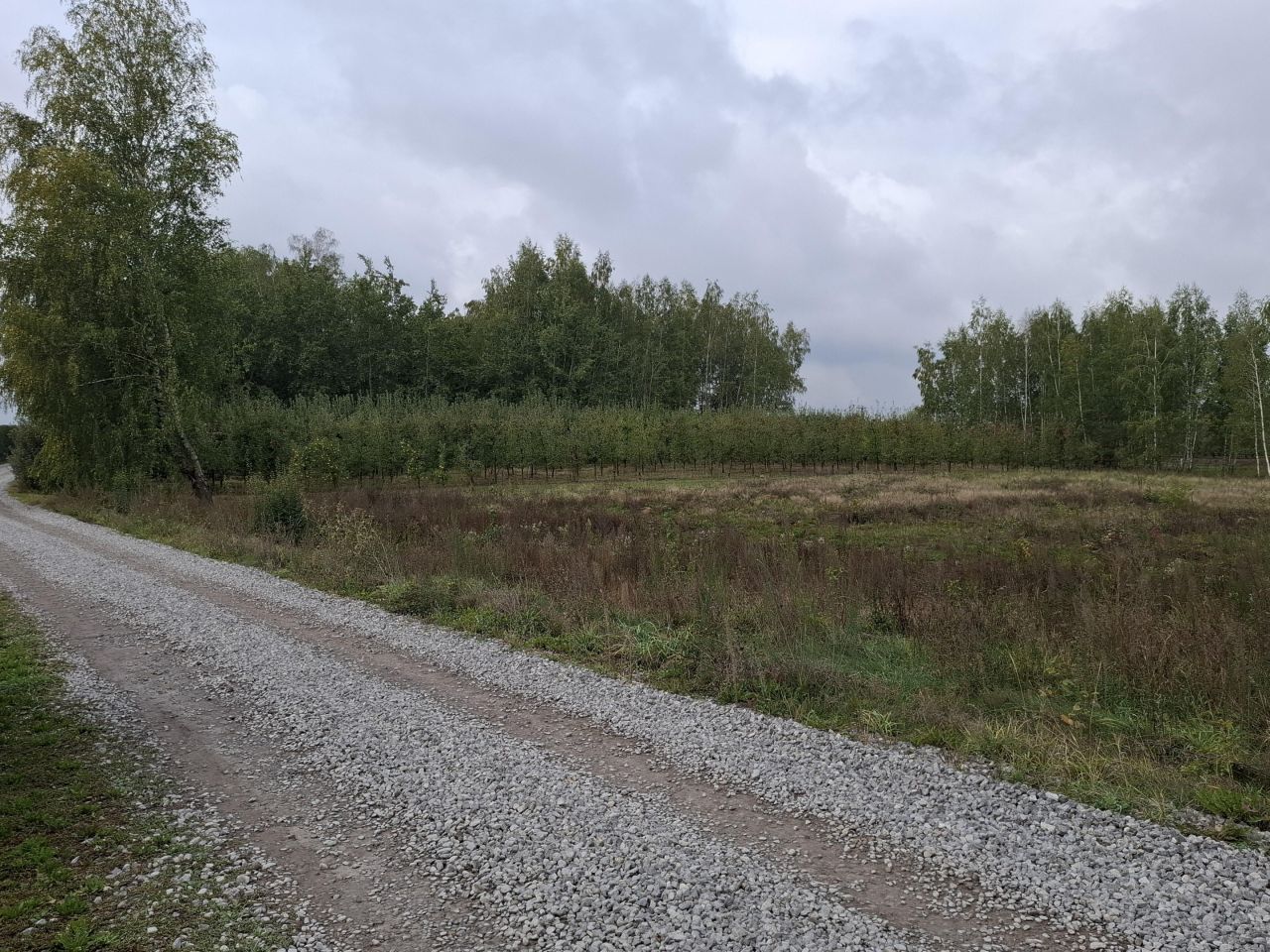 Działka budowlana Wola Grabska. Zdjęcie 4