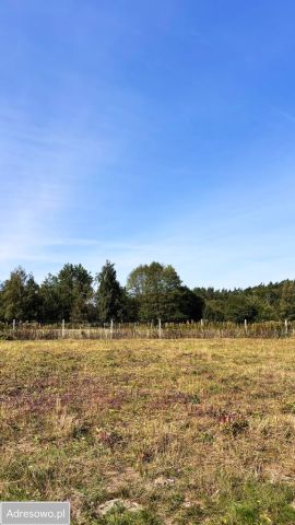 Działka budowlana Cendrowice, ul. Polna. Zdjęcie 1