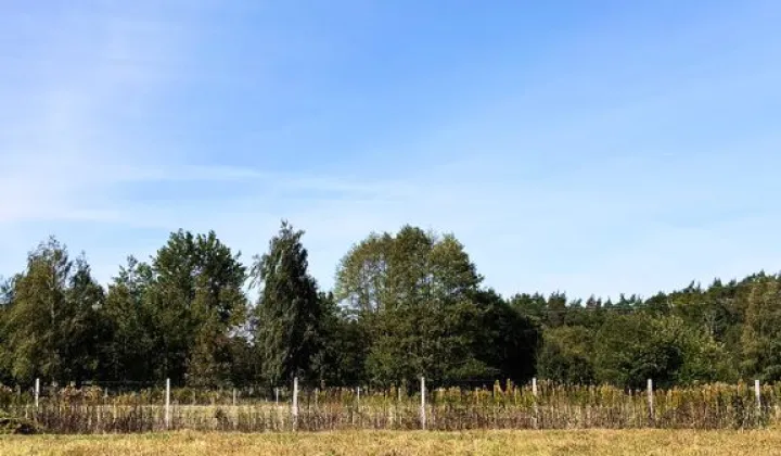 Działka budowlana Cendrowice, ul. Polna