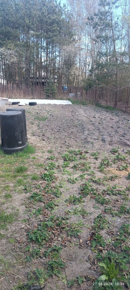 dom wolnostojący, 2 pokoje Ostrówek, ul. Zwycięstwa. Zdjęcie 5