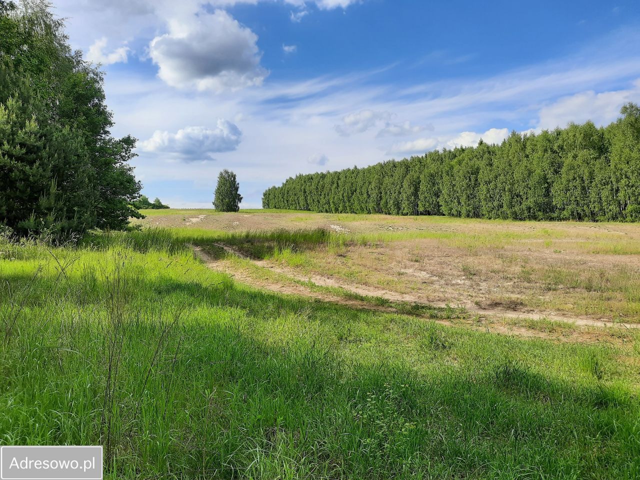 Działka rolna Suchowola. Zdjęcie 4