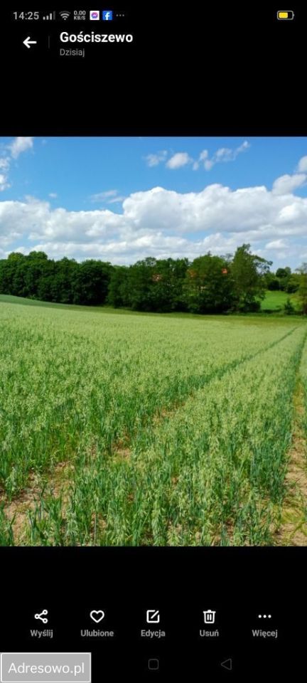 Działka rolna Koniecwałd. Zdjęcie 3