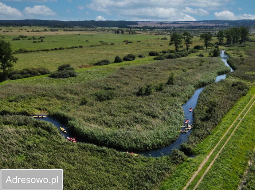 Działka rolna Dębki. Zdjęcie 6