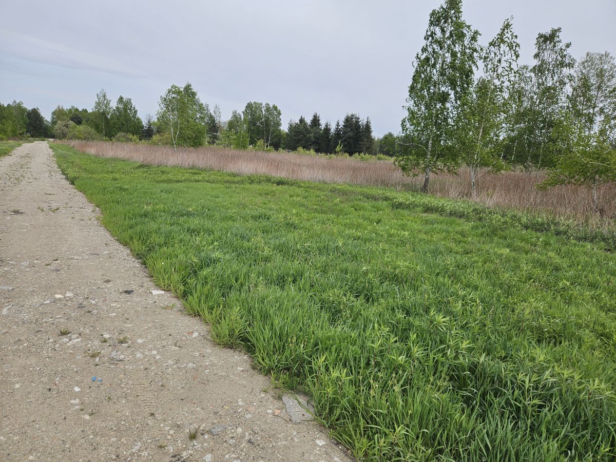 Działka budowlana Kąck. Zdjęcie 19