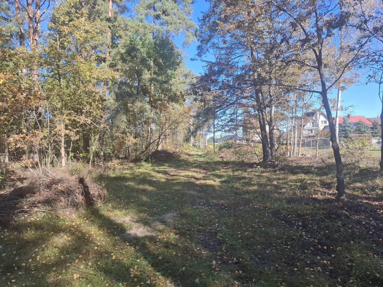 Działka rolno-budowlana Prostyń. Zdjęcie 3