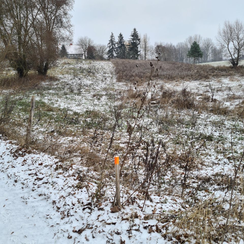 Działka rolna Karwie. Zdjęcie 11